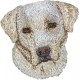 Labrador Retriever - Stickerei, Aufnäher mit dem Bild eines Rasse-Hundes.