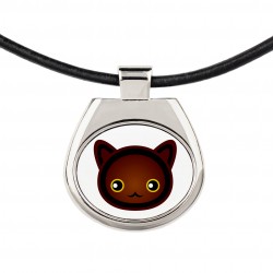 Un collar con un gato de Habana brown. Una nueva colección con el lindo gato Art-Dog