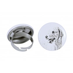 Ring with a dog - Bedlington Terrier