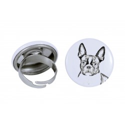 Ring with a dog - Boston Terrier