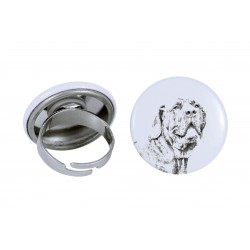 Ring with a dog - Brazilian Mastiff