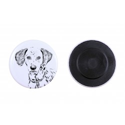 Magnet mit einem Hund - Dalmatiner