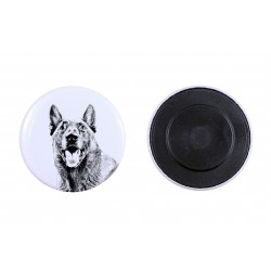 Magnet with a dog - Belgian Shepherd