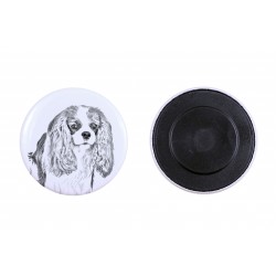 Magnet with a dog - Cavalier King Charles Spaniel