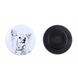 Magnet with a dog - Chinese Crested Dog