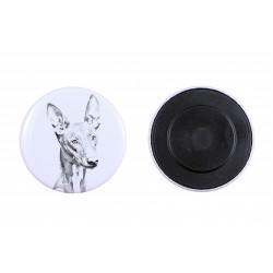 Magnet with a dog - Pharaoh Hound