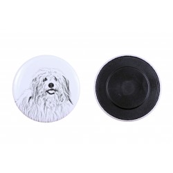 Magnet with a dog - Coton de Tuléar