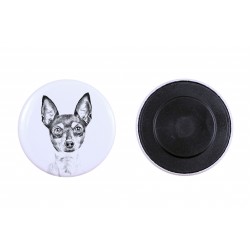 Magnet with a dog - Toy Fox Terrier