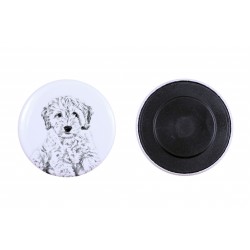 Magnet with a dog - Cockapoo
