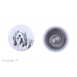 Earrings with a dog - Bearded Collie
