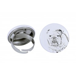 Ring with a dog - Bulldog, English Bulldog