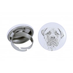 Ring with a dog - Bullmastiff