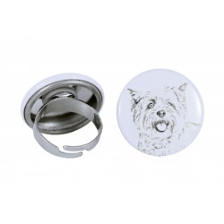 Ring with a dog - Cairn Terrier