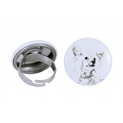 Ring with a dog - Chinese Crested Dog