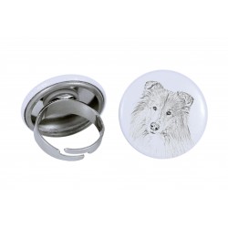 Ring with a dog - Collie