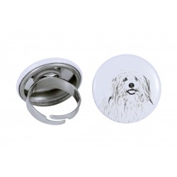 Ring with a dog - Coton de Tuléar