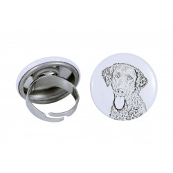 Ring with a dog - Curly coated retriever