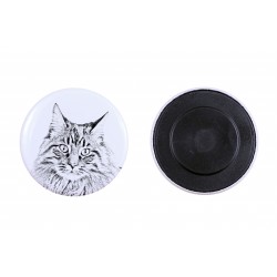 Magnet mit einem Katze - Maine-Coon-Katze