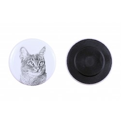 Magnet mit einem Katze - Abessinierkatze