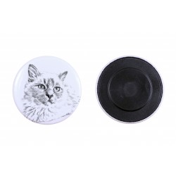 Magnes z kotem - Kot birmański