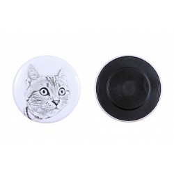 Magnet mit einem Katze - American shorthair