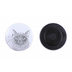 Magnet mit einem Katze - British Shorthair