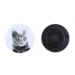 Magnet with a cat - Chartreux