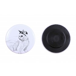 Magnet mit einem Katze - Japanese Bobtail