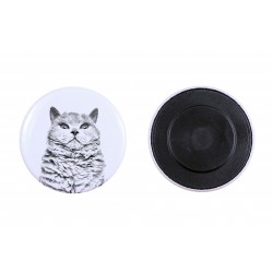 Magnet mit einem Katze - Selkirk Rex shorthaired