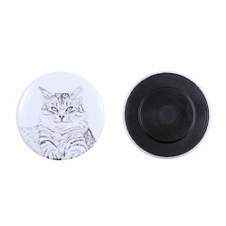 Magnet mit einem Katze - Sibirische Katze