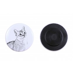 Magnet with a cat - Singapura cat