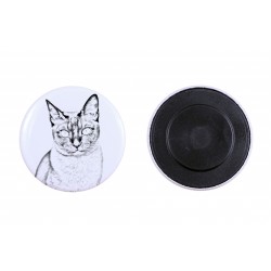 Magnet mit einem Katze - Tonkanese