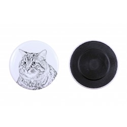 Magnete con un gatto - Kurilian Bobtail longhaired