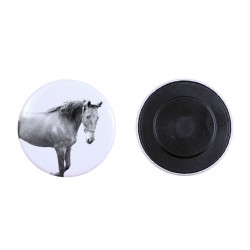 Magnet mit einem Pferd