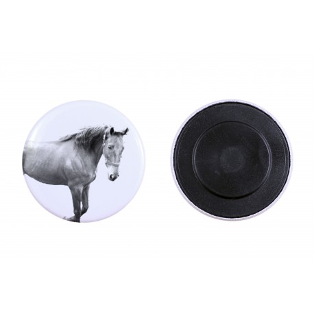 Magnet mit einem Pferd