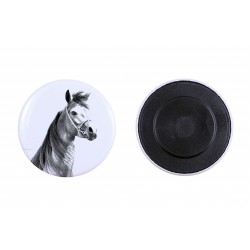 Magnete con un cavallo - Cavallo arabo
