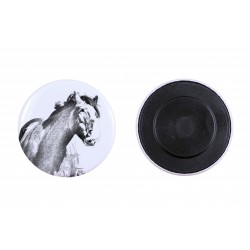 Magnet mit einem Pferd - Clydesdale