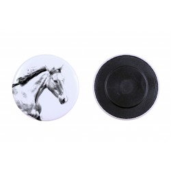 Magnet mit einem Pferd - Irisches Sportpferd