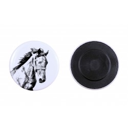 Magnet mit einem Pferd - Mustang