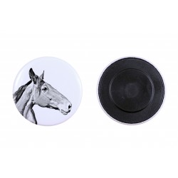 Magnet mit einem Pferd - Australian Stock Horse