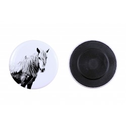 Magnet with a horse - Giara horse
