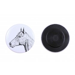 Magnes z koniem - Koń holsztyński
