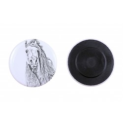 Magnet mit einem Pferd - Araberpinto