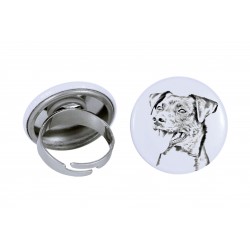Ring with a dog
