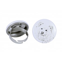 Ring with a dog - Finnish Lapphund