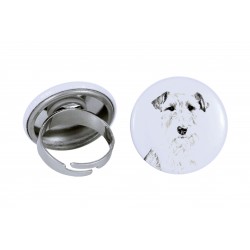 Ring with a dog - Fox Terrier