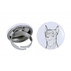 Ring with a dog - German Pinscher