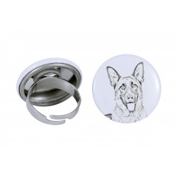 Ring with a dog - German Shepherd