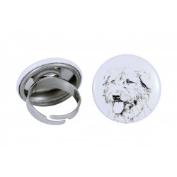 Ring with a dog - Glen of Imaal Terrier