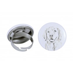 Ring with a dog - Golden Retriever